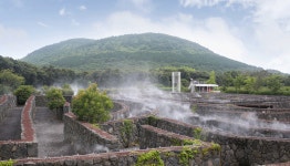 메이즈랜드 할인 입장권 - 와그 WAUG