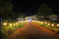 제주 포레스트판타지아 조각공원 - 와그 WAUG