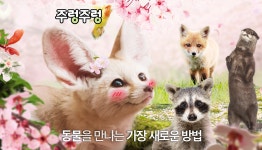 영등포 주렁주렁 애니멀파크 입장권 (카페음료 포함) - 와그 WAUG