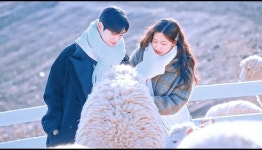 남해 상상양떼목장 편백숲 입장권 - 와그 WAUG