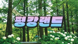 포천 평강랜드 입장권 - 와그 WAUG
