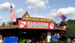 조호바루 맹그로브 반딧불 프라이빗 투어 - 와그 WAUG