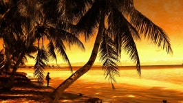 코타키나발루 봉가완 프리미엄 반딧불 투어