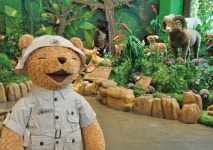 Jeju Teseum Teddy Bear Theme Park - WAUG
