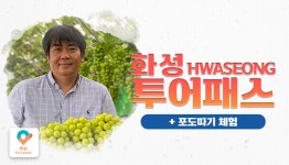 경기 화성 투어패스 + 송산포도팜스토리 PKG - 와그 WAUG