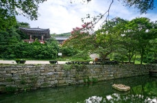 서산 개심사 & 간월도 당일여행 (서울 출발)
