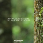 서울 강남 메디스파
