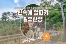 경기투어패스 산속애 알파카 & 유산양