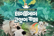 서울 강남 클로리스 에스테틱 - MD 추천 ❤️