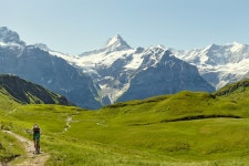 융프라우 & 아이거 글렛쳐 왕복 열차 (그린델발트역 출발)