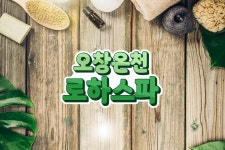 충북 청주 오창온천 로하스파 입장권