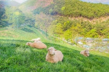 경남 중흥 어뮤즈스파 진주점 입장권