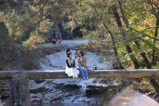 안동 봉정사 & 만휴정 권역 일일 버스 투어