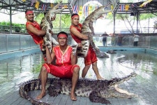 [독점할인] 파타야 악어 농장 입장권 포함 일일 투어 (호텔 픽업 포함)