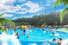 경기 포천 블루파크 입장권