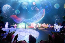 제주 불빛정원 + 인생사진관 입장권 패키지