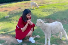 대구 네이처파크 할로윈 페스티벌 패키지