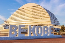 고베 프라이빗 차량 일일 투어 (픽업 & 샌딩 + 무료 스냅사진 촬영 포함)