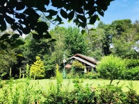 횡성 미술관 자작나무숲 입장권