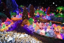 가평 아침고요수목원 + 가족 동물원 입장권 패키지