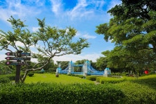 제주 센트럴파크 입장권