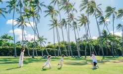 [무료픽업] 하와이 카할라비치 패밀리 스냅 사진 by 아넬라니 (90분)