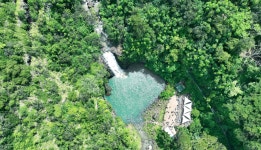 [독점할인] 하와이 노스쇼어 와이메아 폭포 하이킹 & 수영 투어 (돌플랜테이션, 그린월드커피농장)