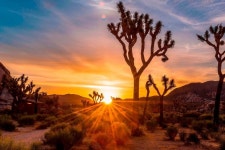 [라스베가스매니아] [무박2일] 밤도깨비 당일 소그룹 그랜드캐년 일출 투어