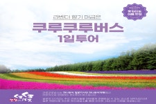삿포로 출발: 비에이 & 후라노 쿠루쿠루버스 일일 투어