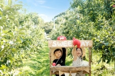 [얼리버드특가⭐] 경기 포천 사과농장 일일 투어 (포천 아트밸리 & 아침고요수목원 & 사과 농장) (EG tour)