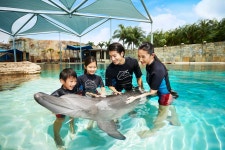 싱가포르 오셔너리움 입장권 & 돌핀 아일랜드 티켓