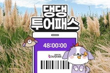 제주 댕댕투어패스 자유이용권 (24시간 / 48시간)