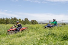 제주 OK레저 ATV 체험