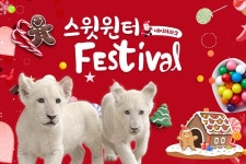대구 네이처파크 스윗 윈터 페스티벌 입장권