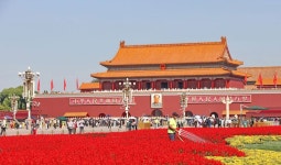베이징 천안문 & 자금성 집중 투어 (한국어 가이드 해설 포함)