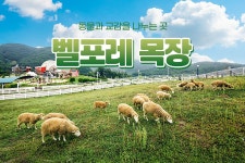 충북 증평 벨포레 목장 입장권