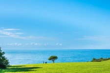 시드니 근교 해안 핫플 투어 | 키아마 블루홀 & 울런공 와일드라이프 파크 & 제링공 해안로 & 하트 해변