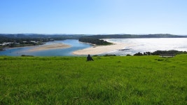 시드니 근교 해안 핫플 투어 | 키아마 블루홀 & 울런공 와일드라이프 파크 & 제링공 해안로 & 하트 해변