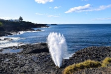시드니 근교 해안 핫플 투어 | 키아마 블루홀 & 울런공 와일드라이프 파크 & 제링공 해안로 & 하트 해변
