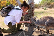 시드니 근교 해안 핫플 투어 | 키아마 블루홀 & 울런공 와일드라이프 파크 & 제링공 해안로 & 하트 해변