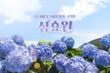 제주 상효원 입장권