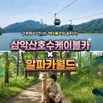 강원 춘천 삼악산 케이블카 & 알파카월드 PKG 입장권