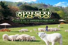 강원 홍천 하양목장 입장권