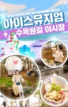 제주 아이스뮤지엄 + 수목원길 야시장 PKG - 와그 WAUG