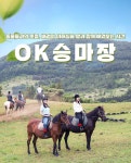 제주 OK 승마장 산책 코스 이용권