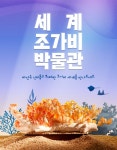 제주 세계 조가비 박물관 입장권