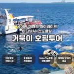 사이판 오션스타 거북이 호핑투어 (마나가하섬 패러세일링 선택)
