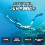 보홀 나팔링 프리 다이빙