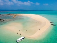 이시가키 환상의 섬 스노클링 & SUP/카누 투어