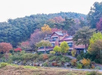 제천 시냇가푸른나무펜션